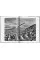 Sebastião Salgado Genesis