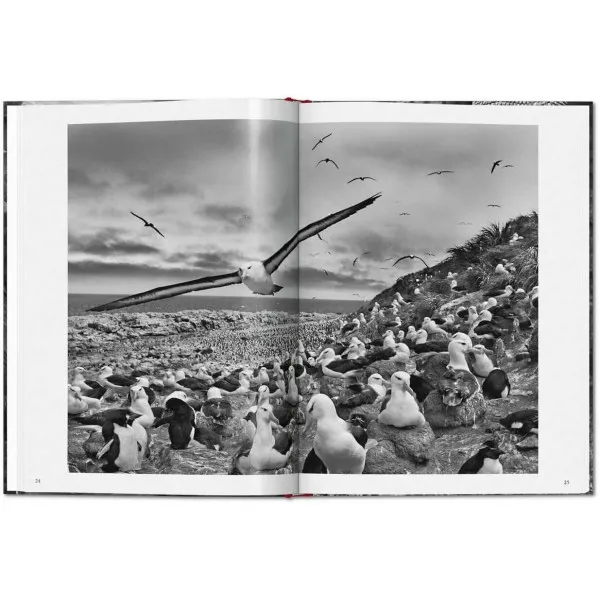 Sebastião Salgado Genesis