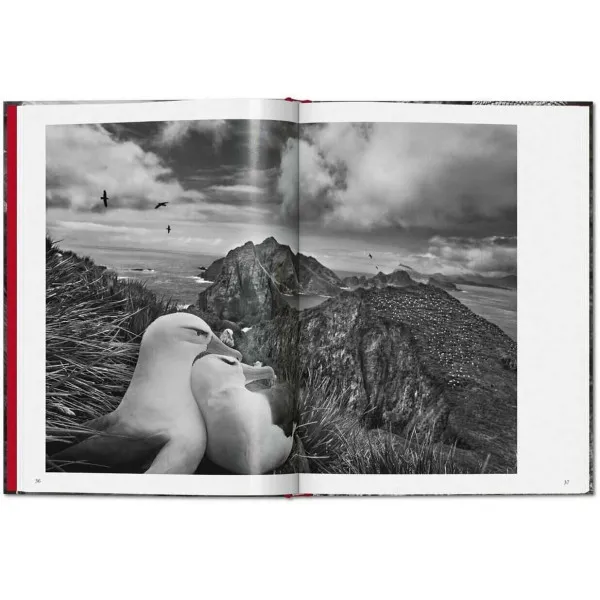 Sebastião Salgado Genesis