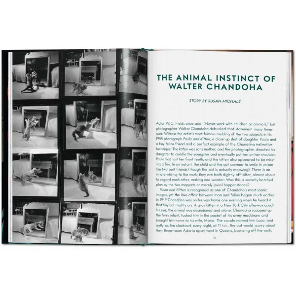 Cats. Photographs 1942-2018