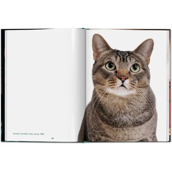 Cats. Photographs 1942-2018