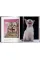 Cats. Photographs 1942-2018