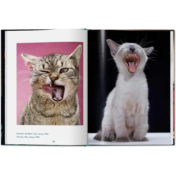 Cats. Photographs 1942-2018