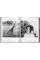 Cats. Photographs 1942-2018