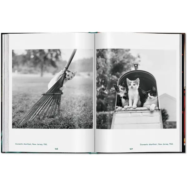 Cats. Photographs 1942-2018