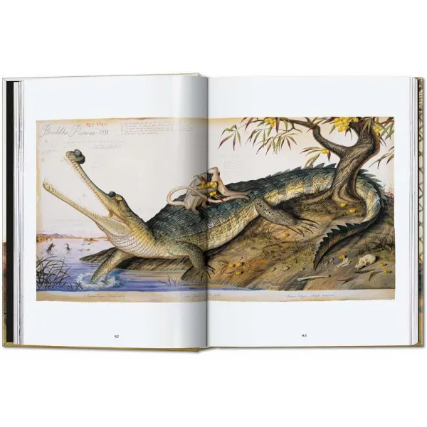 Walton Ford 40th Ed.