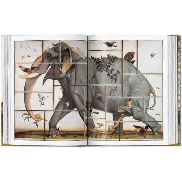 Walton Ford 40th Ed.