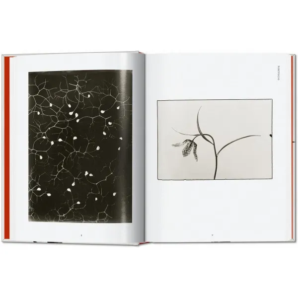Karl Blossfeldt 40th Ed.