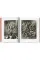 Karl Blossfeldt 40th Ed.
