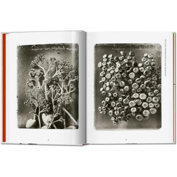 Karl Blossfeldt 40th Ed.