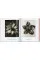 Karl Blossfeldt 40th Ed.