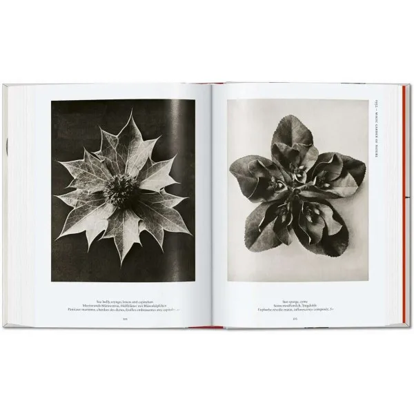 Karl Blossfeldt 40th Ed.