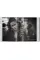 Peter Lindbergh, Dior