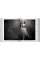 Peter Lindbergh, Dior