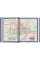 Information Graphics. 45th Ed.