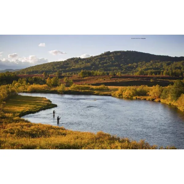 The Fly Fisher