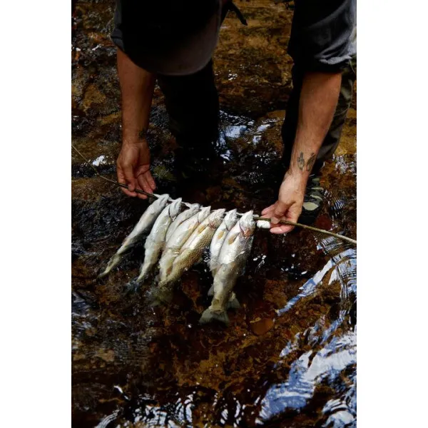The Fly Fisher