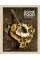 Divine Food : Food Culture and Recipes from Israel and Palestine