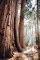 The Hidden Tracks : Wanderlust off the Beaten Path explored by Cam Honan