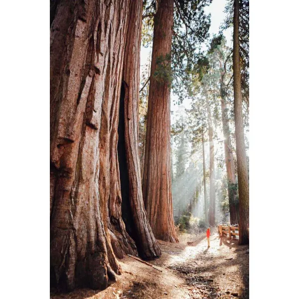 The Hidden Tracks : Wanderlust off the Beaten Path explored by Cam Honan