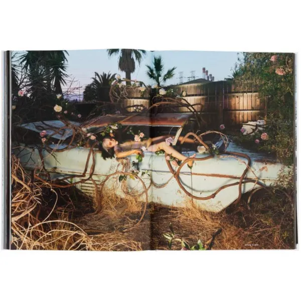 Eat the Sun . From Dusk to Dawn with Photographer Floria Sigismondi
