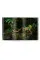 Jungle Spirits