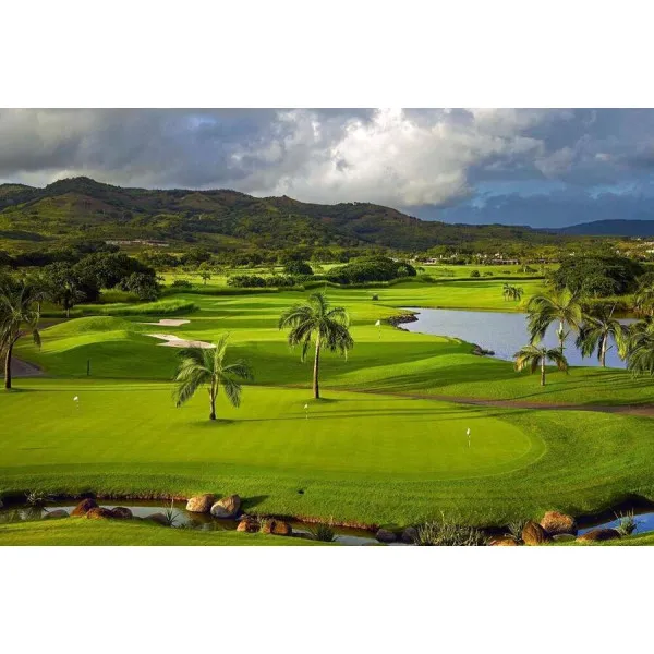 Golf. The Ultimate Book