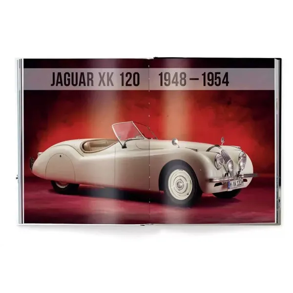 The Jaguar Book