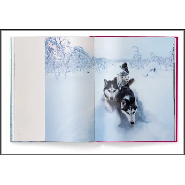 No Signal : Living in the Heart of Nature. Ten Portraits