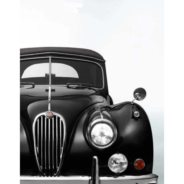 Black Beauties. Iconic Cars