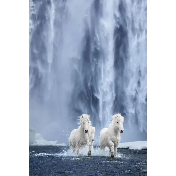Untamed Spirits