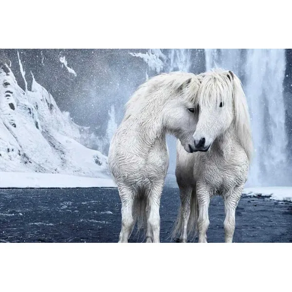 Untamed Spirits