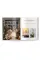 Home for Christmas
