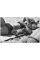 Personal Best. Elliott Erwitt