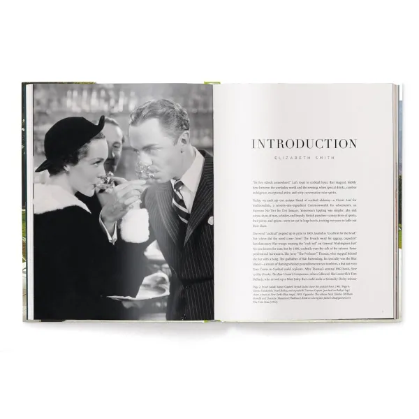 The Stylish Life: Cocktail Parties