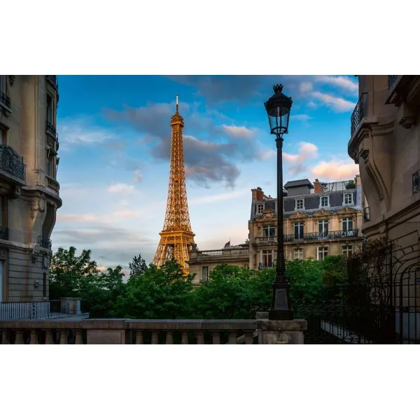 Paris (tN4t)