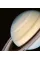 Voyager: Photographs from Humanity's Greatest Journey