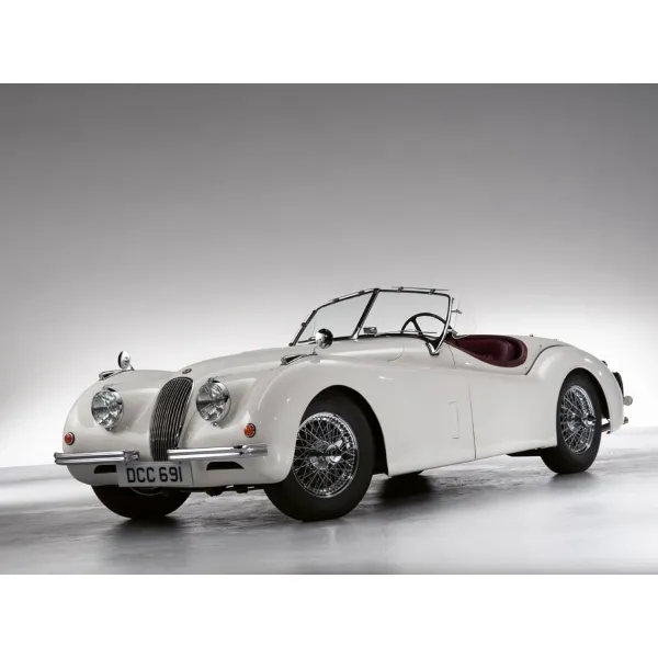 The Jaguar Book