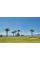 GOLF: A Tribute to Golf’s Finest Destinations, Gear, and Icons