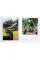 The Avant Gardens. Gardens Beyond Wild Expectations, Visionaries, and Landscape Architecture