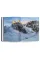 Alpine Refuges