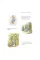The Tale of Peter Rabbit and Other Stories. Beatrix Potter