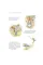 The Tale of Peter Rabbit and Other Stories. Beatrix Potter