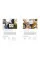 Homebody: A Guide to Creating Spaces You Never Want to Leave
