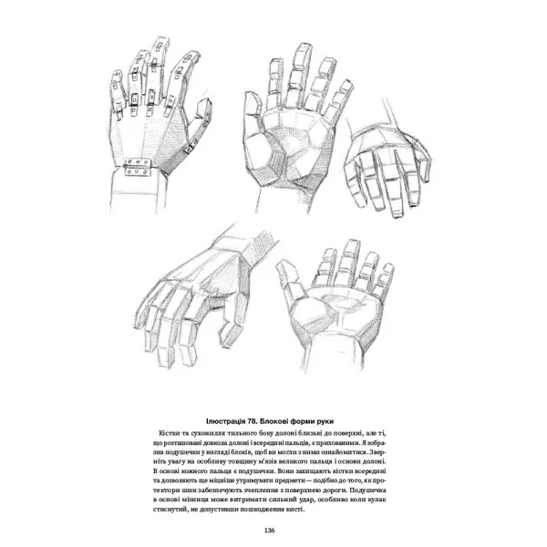 Drawing The Head And Hands
