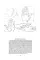 Drawing The Head And Hands