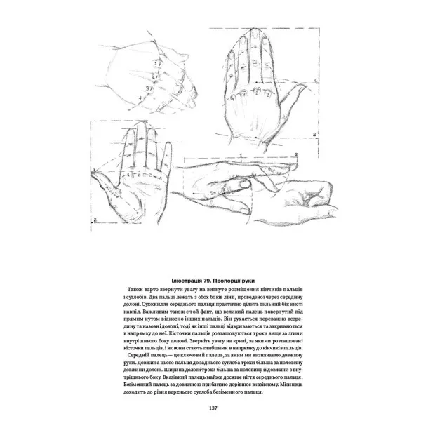 Drawing The Head And Hands