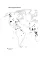 The Patriarchs: The Origins of Inequality. Angela Saini