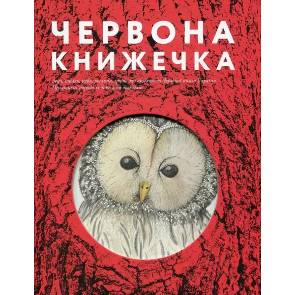 The Little Red Book. Anna Kopylova