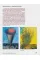 Windmills and Don Quixote. Ukrainian Truth 25
